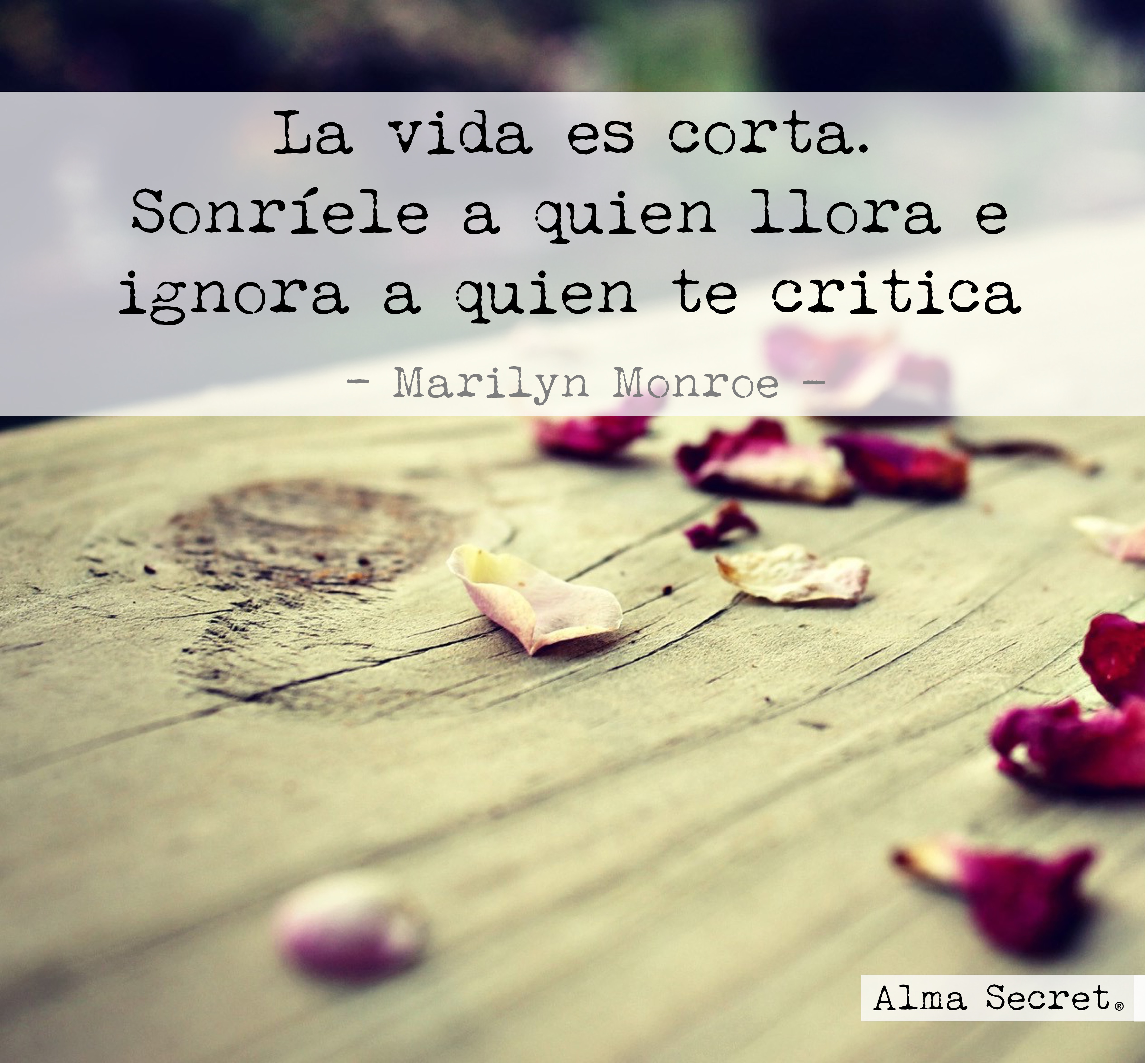 la vida es corta, Ríe cuando estés triste, llorar es demasiado fácil. Frases célebres. quotes. frases famosas. citas célebres. frases Marilyn Monroe. frases para compartir. frases inspiradoras.Ríe cuando estés triste, llorar es demasiado fácil. Frases célebres. quotes. frases famosas. citas célebres. frases Marilyn Monroe. frases para compartir. frases inspiradoras.